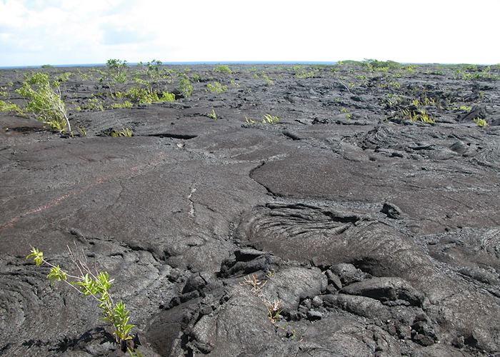 Ancient lava flows, Savai'i