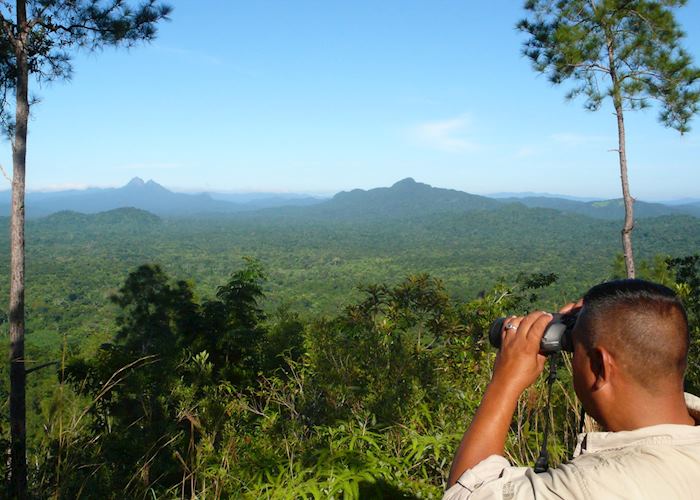 Morning view over the Cockscomb Basin Wildlife Sanctuary with Victoria Peak in the distance