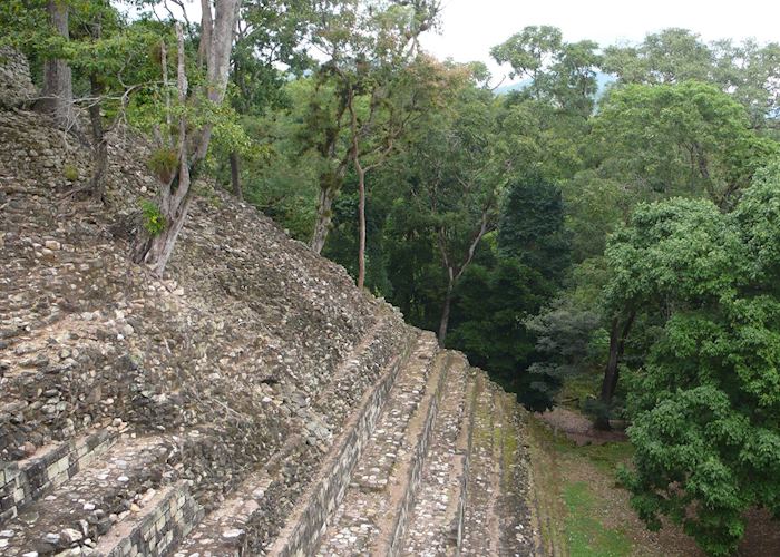 The Copan ruins emerge from the forest