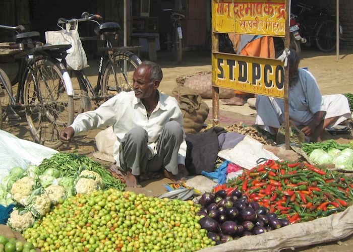 Vegetable seller, near Chambal Safari Lodge, India