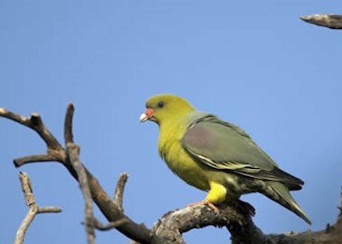 Gunn's Concession, Botswana