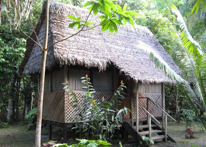 Cabin, Manu Wildlife Centre