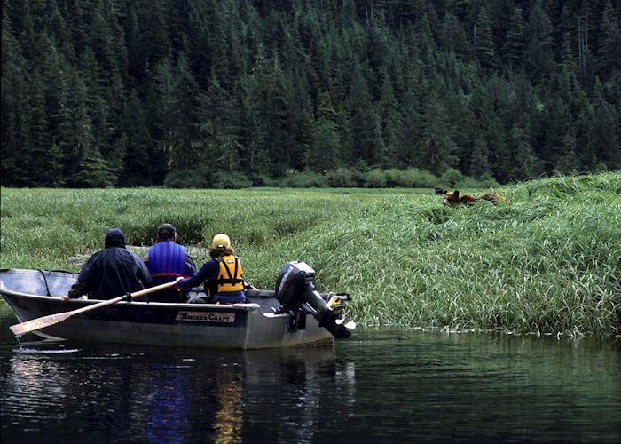 Quietly stalking grizzly bears at Great Bear Lodge