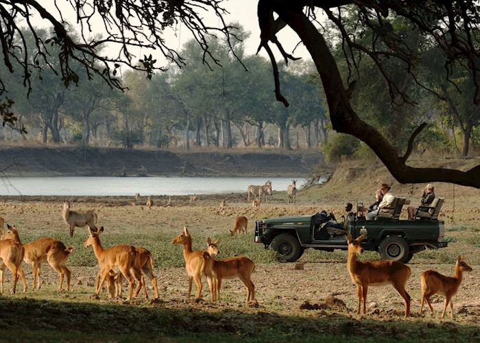 On safari in South Luangwa National Park, Zambia