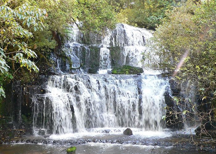 Visit The Catlins On A Trip To New Zealand | Audley Travel