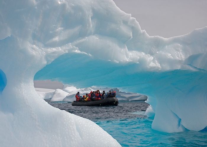 In an iceberg garden