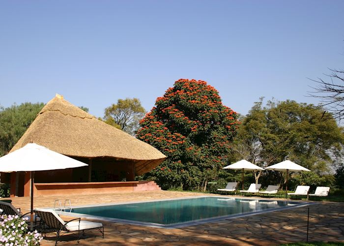 Pool at Ngorongoro Farmhouse, Karatu