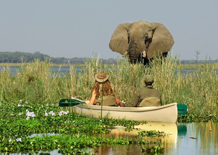 Canoeing on the Zambezi River