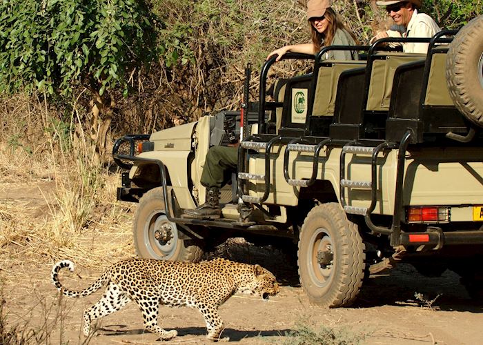 Game drive from Chiawa Camp