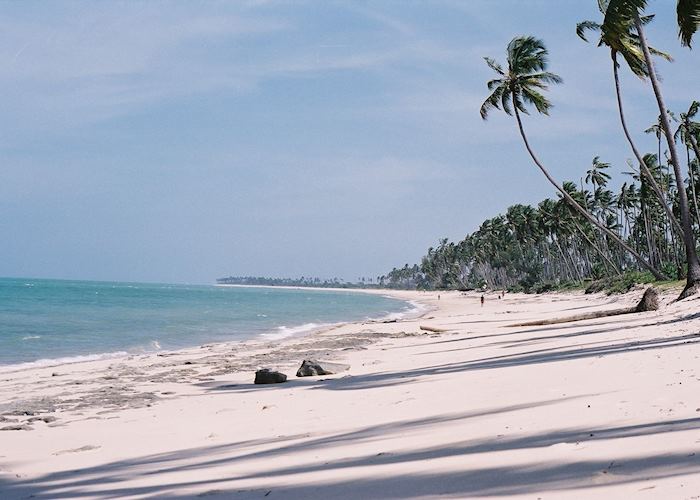 Guludo Beach at Quirimbas Archipelago, Mozambique