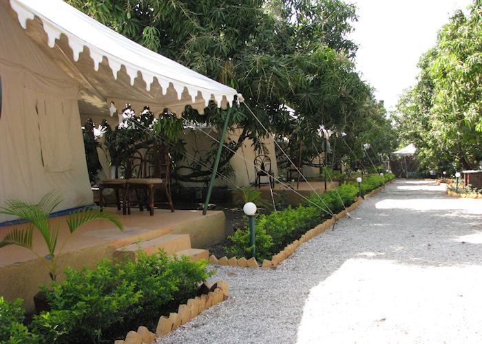 Tents at the Lion Safari Camp at the Gir National Park, Gujarat