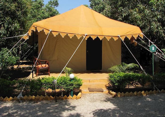 Air conditioned tents at the Lion Safari Camp