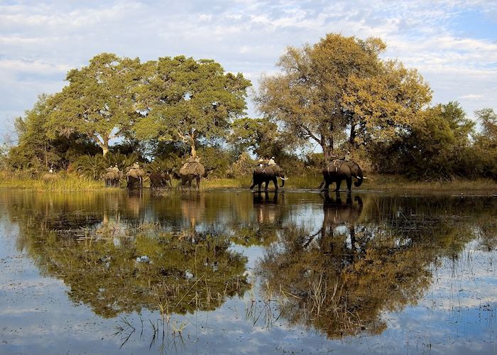 Elephant ride in the Abu Concession