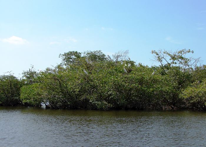 Juan Venado Island, Nicaragua