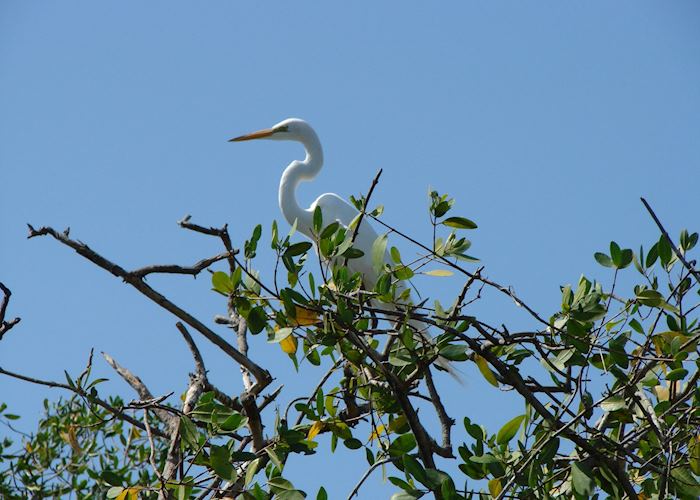 Juan Venado Island, Nicaragua