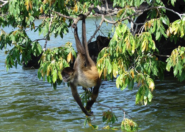 Isletas boat tour, Granada