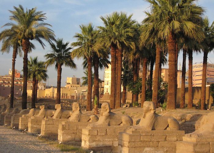 Avenue of sphinxes, Luxor Temple