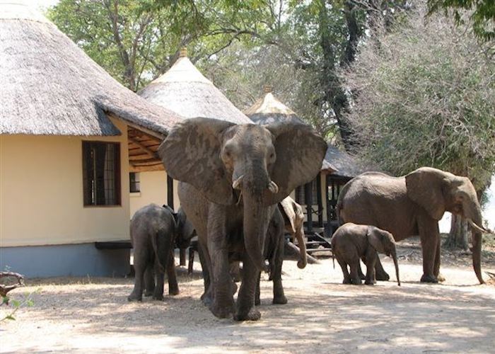 Nsefu Camp, South Luangwa National Park