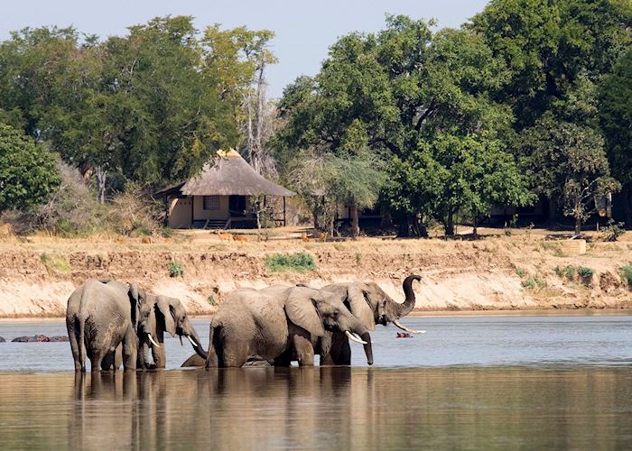 Nsefu Camp, South Luangwa National Park