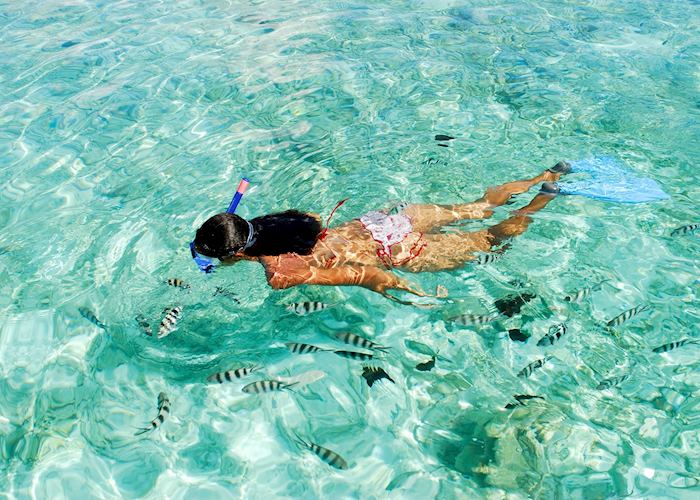 Snorkelling in the Seychelles