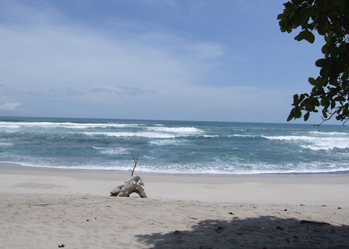 Playa Santa Teresa, Florblanca