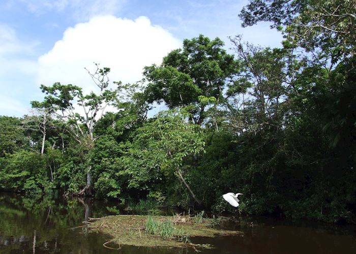 Los Guatuzos Wildlife Refuge