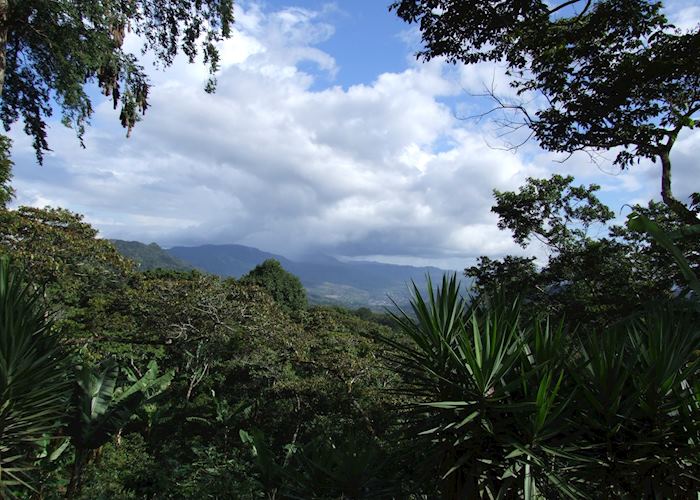 Views from La Selva Negra estate