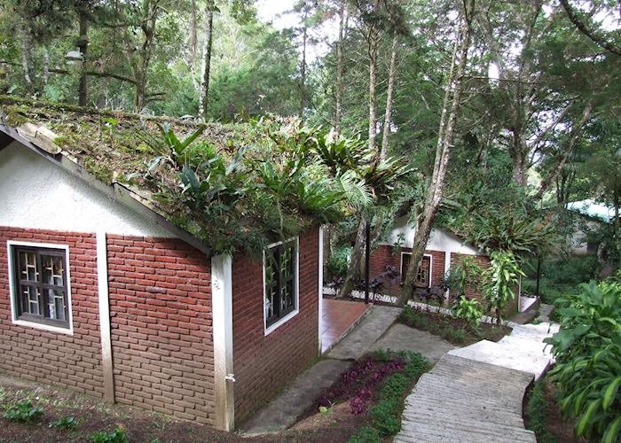 Bungalow's at La Selva Negra