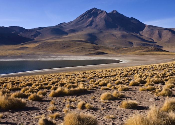 The Atacama, Chile