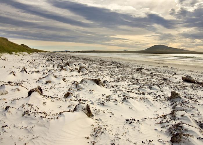Pebble Island, The Falkland Islands