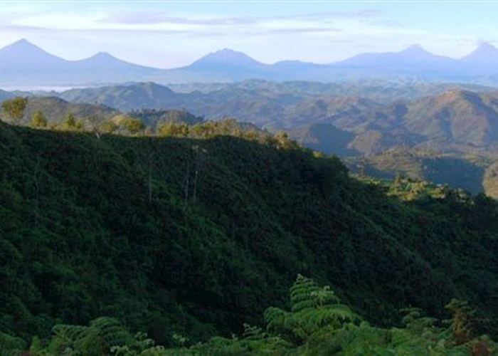 View from Clouds Mountain Gorilla Lodge