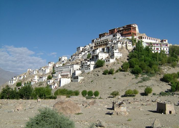 Thikse, Ladakh