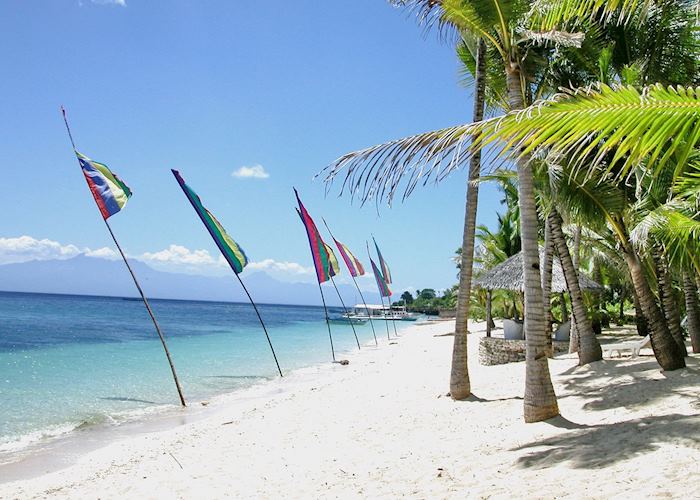 View along the beach at Coco Grove Beach Resort, Siquijor, Philippines