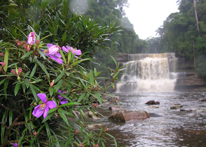 Maliau Falls