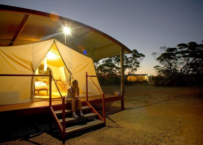 Tent, Kangaluna Camp, Gawler Ranges