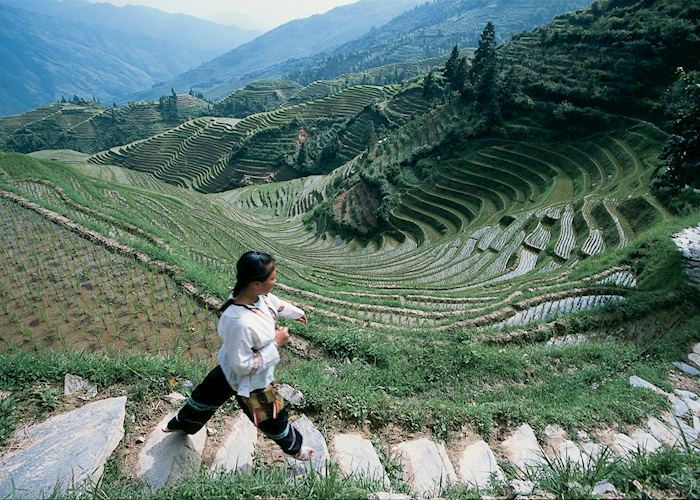 Dragon's Backbone Rice terraces, Longji