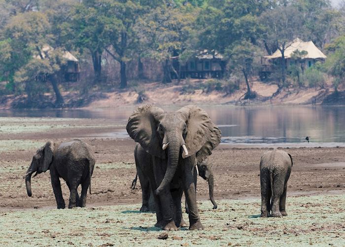 Chindeni Bushcamp, South Luangwa National Park