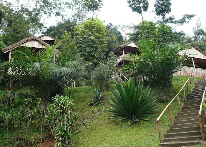 Buhoma Homestead, Bwindi Impenetrable Forest National Park