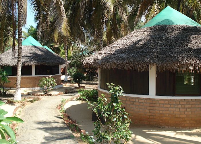 Baobab Ankify, Ankify
