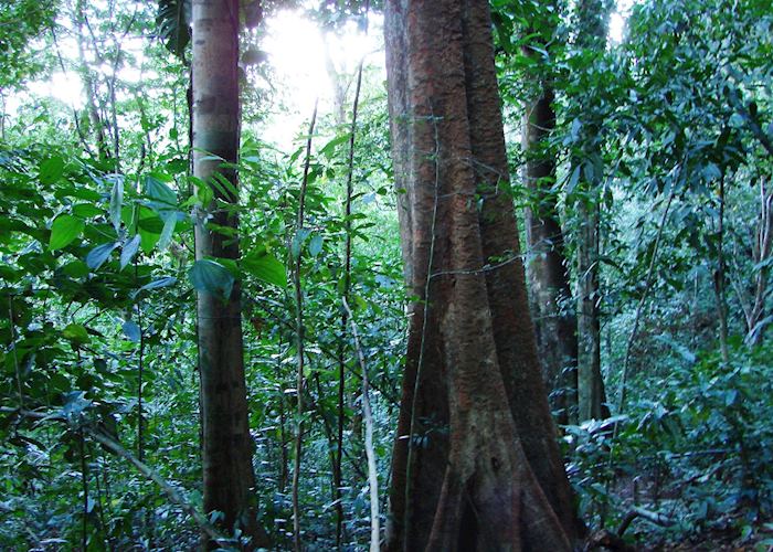 Puerto Viejo de Sarapiqui, Costa Rica