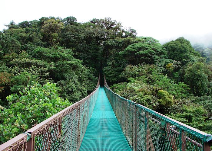 Selvatura Hanging Bridges, Monteverde