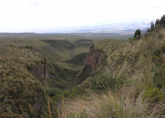 Cotopaxi National Park, Avenue of Volcanoes, Ecuador