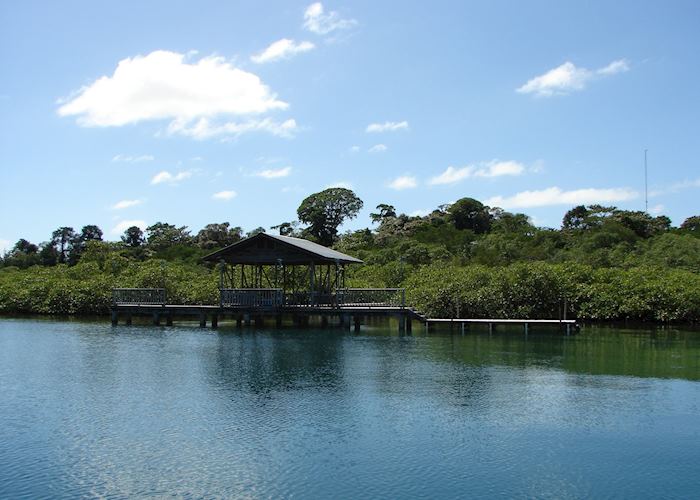 Tranquilo Bay Dock, Panama