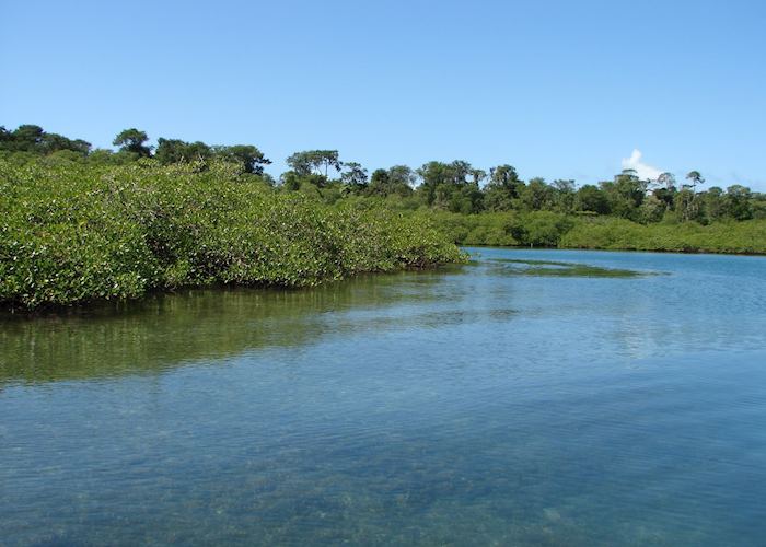 Visit Tranquilo Bay on a trip to Panama | Audley Travel US