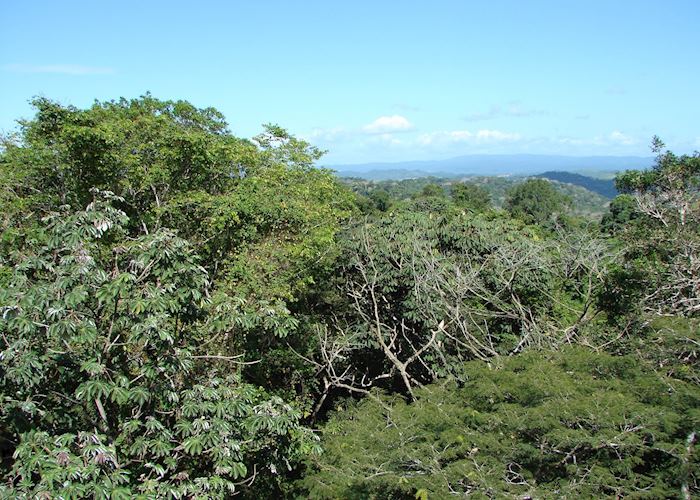 View from Canopy Tower, Panama