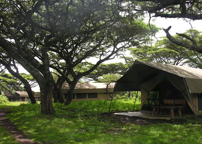 Lemala Ngorongoro Camp, Ngorongoro Conservation Area