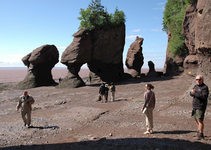 Hopewell Rocks Ocean Tidal Exploration Site near Riverside Albert