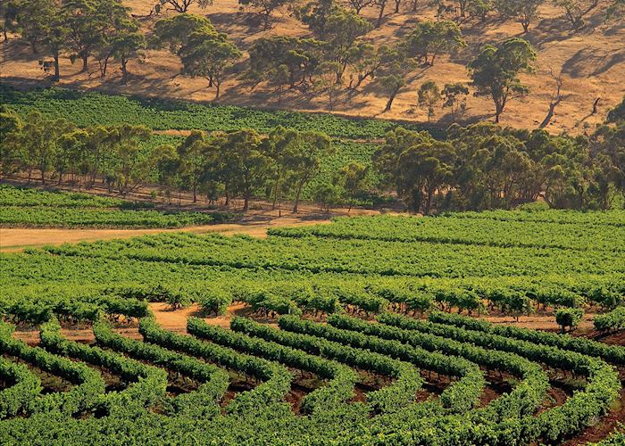 Visit Clare Valley on a trip to Australia Audley Travel US