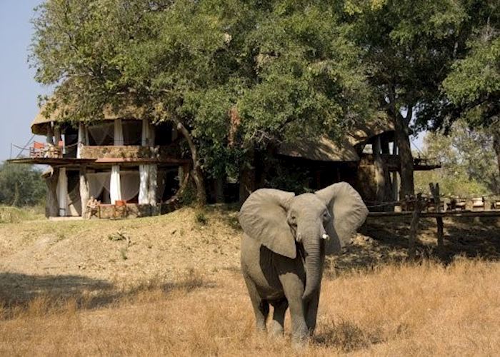 Luangwa Safari House, South Luangwa National Park