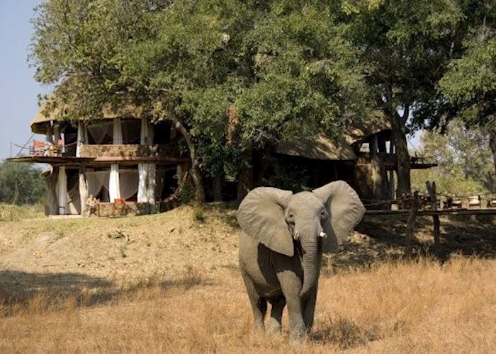 luangwa safari house zambia